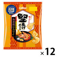 ポテト ポテトチップス スナック菓子 堅あげポテト 海老塩にんにく味