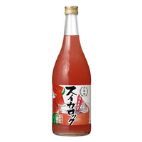 yGߌzj XCJbN 720ml 1{ {x[X L[