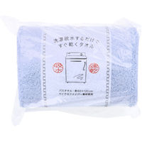 日繊商工 洗濯脱水するだけですぐ乾くタオル2 バスタオル約60×120cm