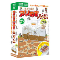学研ステイフル ふしぎの国のアリのすハウス J750736 1個