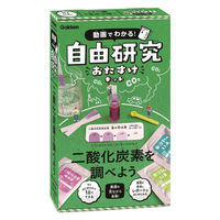 学研ステイフル 自由研究おたすけキット　二酸化炭素 Q750862 1個