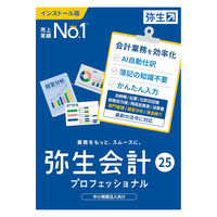 Amazon | 【旧商品】弥生会計 プロフェッショナル 06 | 会計