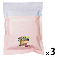 ミックスナッツ ドライフルーツ 大袋 ジッパー付き ラッキー ベリーナッツ 250g 1セット（1個×3） 味源