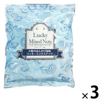 ミックスナッツ 大袋 ジッパー付き ラッキー ミックスナッツ 塩味 600g 1セット（1個×3） 味源