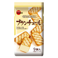 ブランチュール様ネイビー2 ブランチュール ファミリーサイズ 2袋 ブルボン チョコレート