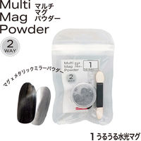 BEAUTY NAILER マルチマグパウダー (うるうる水光マグ) MMPー1 0.3g 147642 1点（直送品）