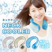大塚製薬 ポカリスエット ペット 900ml x12 3859524 1セット(12
