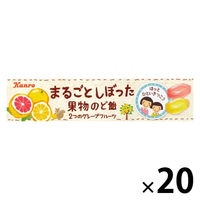 のど飴 キャンディー 飴 まるごとしぼった　果物のど飴　2つのグレフル味 11粒入 1セット（1個×20）