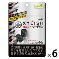 グミ 食べきりサイズ キシリッシュグミ ハイパークール　カフェイン入 1セット（1個×6）