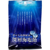 Gains 匠の塩飴 3種アソート（750g：約175粒入）3袋 サラヤ 塩分