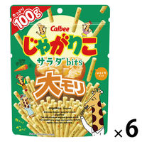 スナック菓子 食べきりサイズ じゃがりこサラダbits 大モリ  100g 1セット(1個×6) カルビー