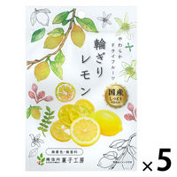 ドライフルーツ 食べきりサイズ 輪切りレモン 国産 1セット(1個×5) 南信州菓子工房