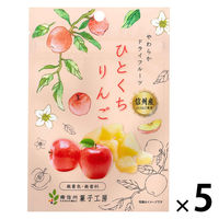 ドライフルーツ 食べきりサイズ ひとくちりんご 1セット(1個×5) 南信州菓子工房