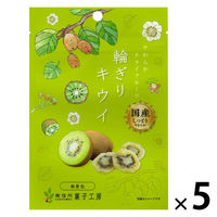 hCt[c HׂTCY ֐؂LEC 1Zbg(1×5) MBَqH[