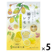 ドライフルーツ 食べきりサイズ 輪ぎりレモン レモネード味 1セット(1個×5) 南信州菓子工房