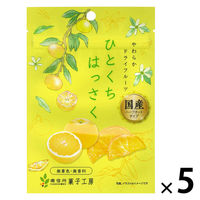 ドライフルーツ 食べきりサイズ ひとくちはっさく 1セット(1個×5) 南信州菓子工房