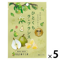 ドライフルーツ 食べきりサイズ ひとくちラ・フランス 1セット(1個×5) 南信州菓子工房