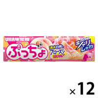 Amazon.co.jp: UHA味覚糖 ぷっちょ 白くま 83g×4個 : 食品・飲料