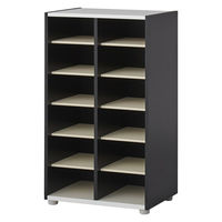 【軒先渡し】バリュテック・インターナショナル シューズラック ２列ロータイプ 幅551×奥行350×高さ930mm PLB-57P 1台（直送品）