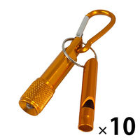 Jrit ~jA~LEDCgzCbX S[h 10 ~jCg J LED ً} ~M ЊQiij