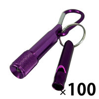 Jrit ~jA~LEDCgzCbX p[v 100 ~jCg J LED ً} ~M ЊQiij