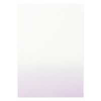 咼 gڂ B5 F 201210007 1Zbgiij