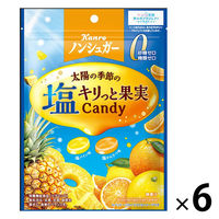 キャンディ 個包装 ノンシュガー 塩キリっと果実キャンディ 70g
