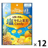 キャンディ 個包装 ノンシュガー 塩キリっと果実キャンディ 70g