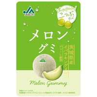 モントワール JAほこた メロングミ 4580530495898 1セット(10個)（直送品）