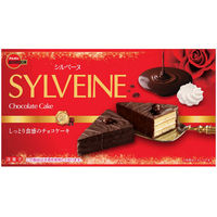 チョコレート菓子 食べきりサイズ シルベーヌ 6個 1セット（1個