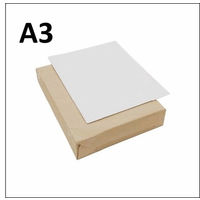 フジテックス 耐水紙300μ A3サイズ XM375A3 1箱(200枚入)（わけあり品）