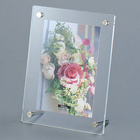 ナカバヤシ アクリルクリアフレーム スタンドタイプ ポストC 1枚