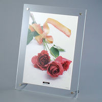 ナカバヤシ アクリルクリアフレーム スタンドタイプ A4 1枚