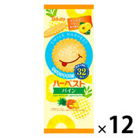 【パッケージにダメージあり】ナップル 粒  30日分  120粒入 ×２ ナップル粒120粒（30日分）【機能性表示食品】 2個 ロート製薬