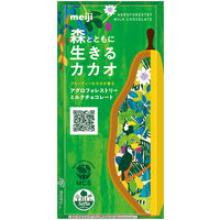 明治 アグロフォレストリーミルクチョコレート 4902777140896 1セット(45g×10個)（直送品）