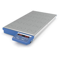 イカジャパン 多連式ホットスターラー RT15 0020003718 1台（直送品）