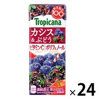 キリンビバレッジ トロピカーナ カシス＆ぶどう 250ml LLスリム 1箱（24本入）