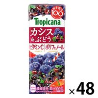 キリンビバレッジ トロピカーナ カシス＆ぶどう 250ml LLスリム 1セット（48本）