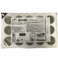 マルハニチロ 「業務用」やさしい素材ブロッコリー 5PC×26G×15個（直送品）