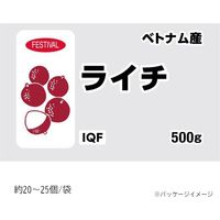 「業務用」 富士通商 ライチ 10袋×500G（直送品）