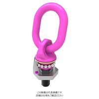 ルッドスパンセットジャパン VWBGーVー5/8”ー11UNC VWBG-V-5/8"-11UNC 1個（直送品）