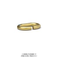 ルッドリフティングジャパン（RUD） ID-Link 1個（直送品）