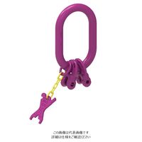 ルッドリフティングジャパン（RUD） IAK-RG-2-10 1個（直送品）