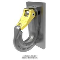 ルッドリフティングジャパン（RUD） VCGH-S-16 1個（直送品）