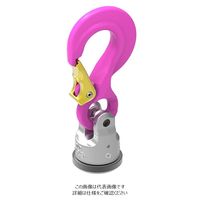 ルッドリフティングジャパン（RUD） WPP-S 8t 1個（直送品）