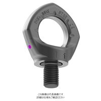 ルッドリフティングジャパン（RUD） INOX-STAR-M16 1個（直送品）