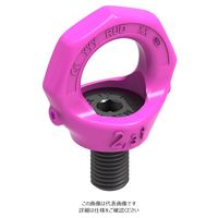 ルッドリフティングジャパン（RUD） VRS-M6 1個（直送品）