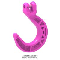 ルッドリフティングジャパン（RUD） VWH-10 1個（直送品）