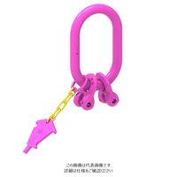 ルッドリフティングジャパン（RUD） VAK2-13 1個（直送品）