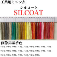 カナガワ ボタン付けスパン手縫糸シルコート　#20/30m　51番色 slc20/30-051 1セット(5個×30m巻)（直送品）
